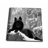 3dRose Rocky Mountain Wolf, Black White - Mini Notepad, 4 by 4-inch