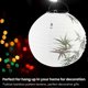 thumbnail image 2 of 30cm Lampshade Paper Lantern Oriental Style Light Decoration Chinese , Bamboo, 2 of 5