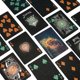 thumbnail image 2 of Juego de Mesa Novelty Bicycle Baraja Stargazer 203, 2 of 6