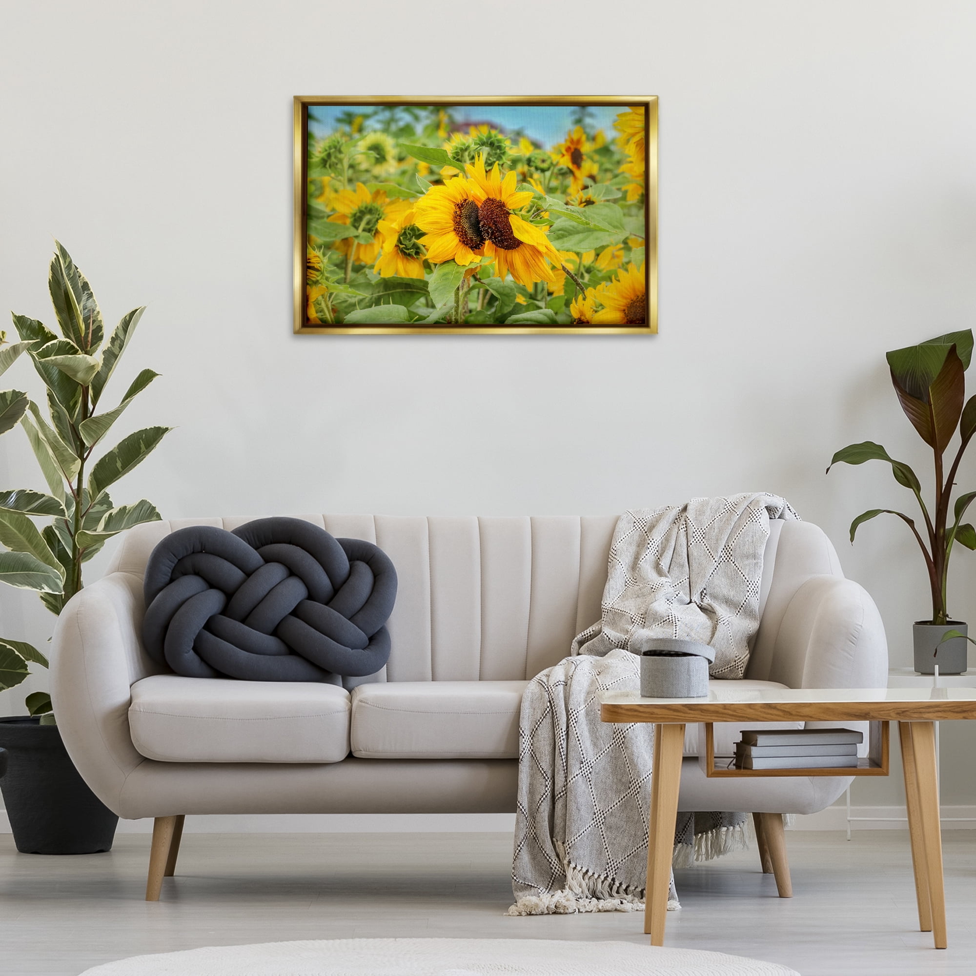 Stupell Industries Sunflower Field Photography Landscape Photography Gold Floater Framed Art Print Wall Art, 31 x 21
