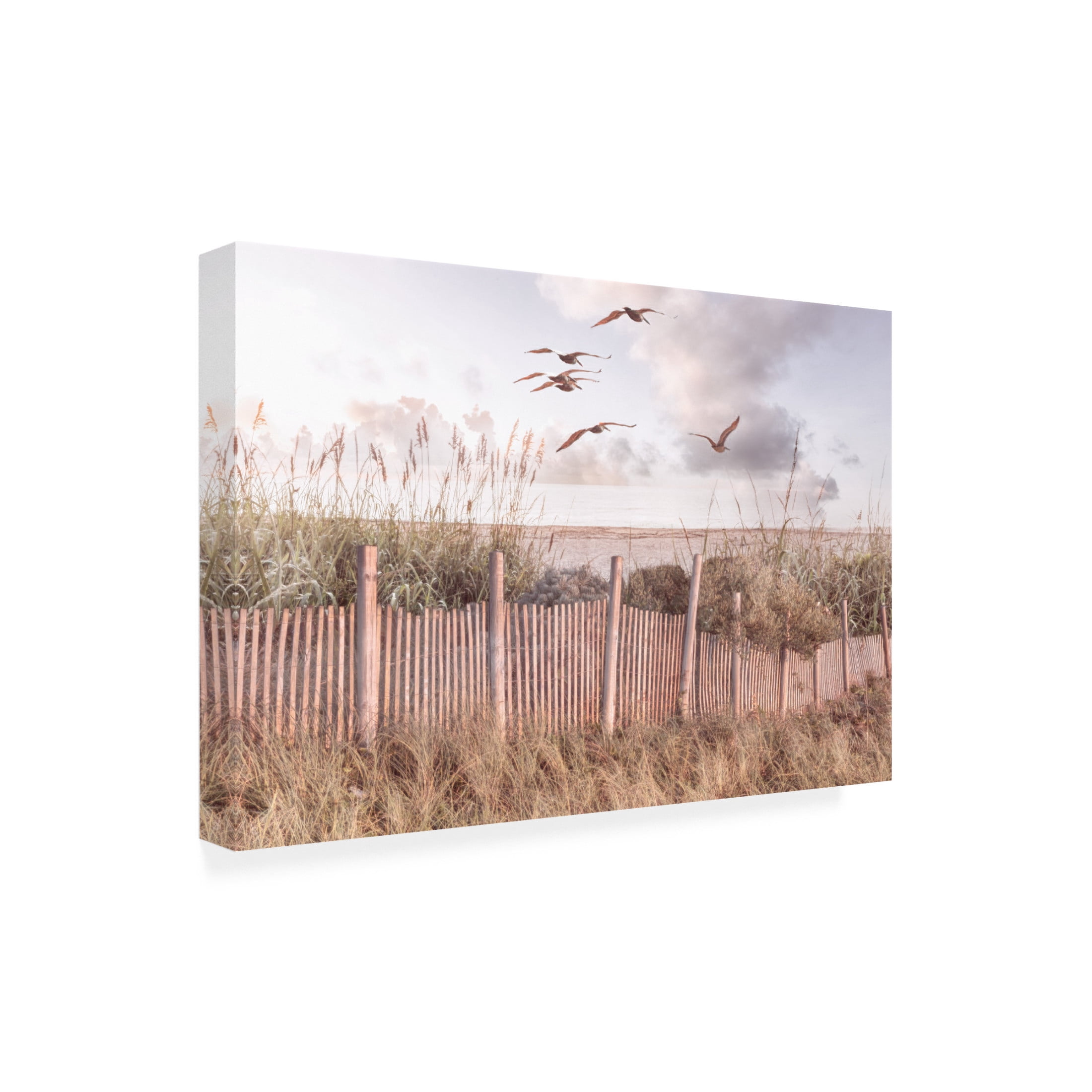Canvas Wall Art - Celebrate Life Gallery 'Sailing Over the Beach Dunes' Wall Art for Living Room, Bedroom, or Office Décor by Trademark Fine Art - 19 x 12 Inches