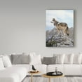 thumbnail image 3 of Trademark Fine Art 'Alpine Lookout' Canvas Art by Ron Parker, 3 of 3