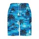thumbnail image 4 of Pantalones Cortos Casuales para Hombre Imprimir con Bolsillos Pantalones de Playa de Cintura Elástica, Pantalones Cortos de Cintura Elástica para Hombre, 4 of 9