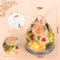 thumbnail image 2 of Figura de ángel de cristal Preserved Rose Forever Flower para mujer, 2 of 8