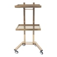 thumbnail image 5 of Fichiouy 2-Tier Rolling Trolley with Wheel Storage Cart Beauty SPA Hair Salon Trolley Stand Tray Gold, 5 of 8