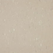 Congoleum 12 In. x 12 In. Vinyl Composit Tile