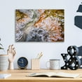 thumbnail image 4 of Epic Art 'Thermal Art - Yellowstone National Park' by Darren White, Acrylic Glass Wall Art, 16"x12", 4 of 8