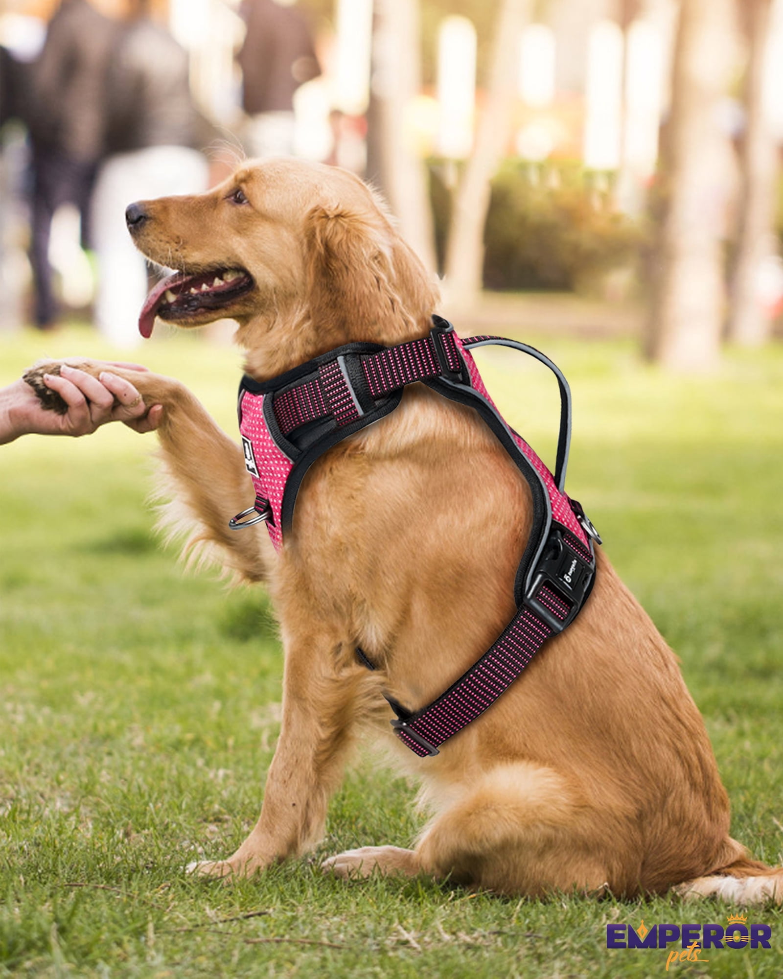 Emperor Pets Pink Reflective Dog Harness Small Sized Dog - No Pull Dog Harness with 2 Leash Clips, Premium Oxford Soft Padded Puppy Harness, Small Dog Harness (S, Pink)