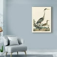 thumbnail image 3 of Trademark Fine Art 'Heron Family I' Canvas Art by Alexander Wilson, 3 of 4
