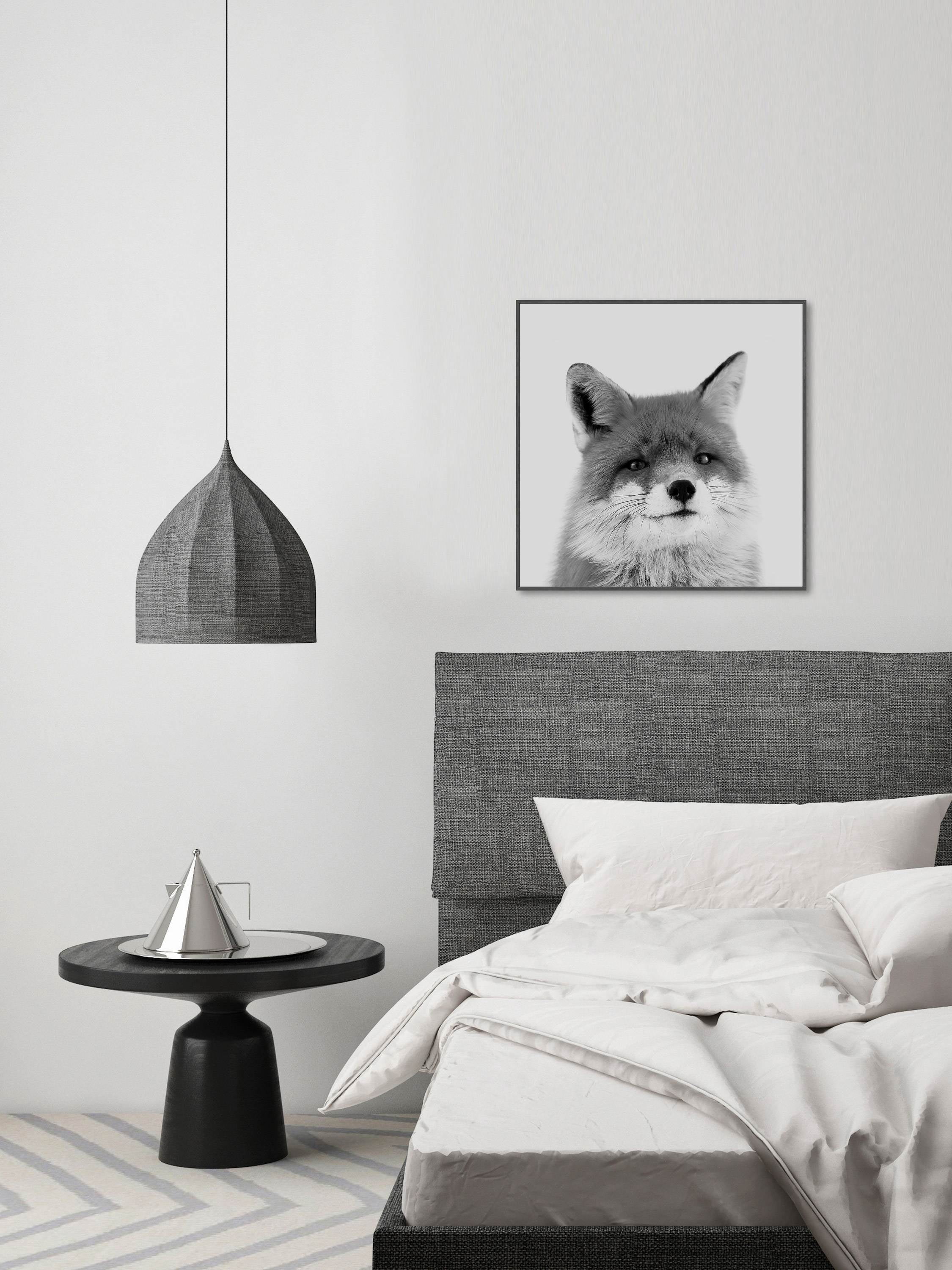 Handsome Fox Floater Framed Painting Print on Canvas