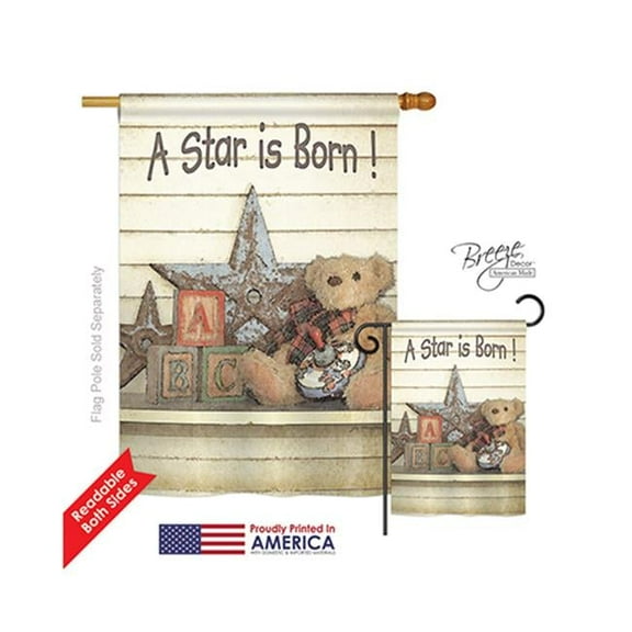 Breeze Decor 15076 A Star is Born 2-Sided Vertical Impression House Flag - 28 x 40 in.