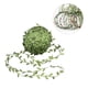 thumbnail image 1 of COMPUKAS Guirnalda De Hojas Y Verde Para Manualidades Y Del Hogar, 1 of 8