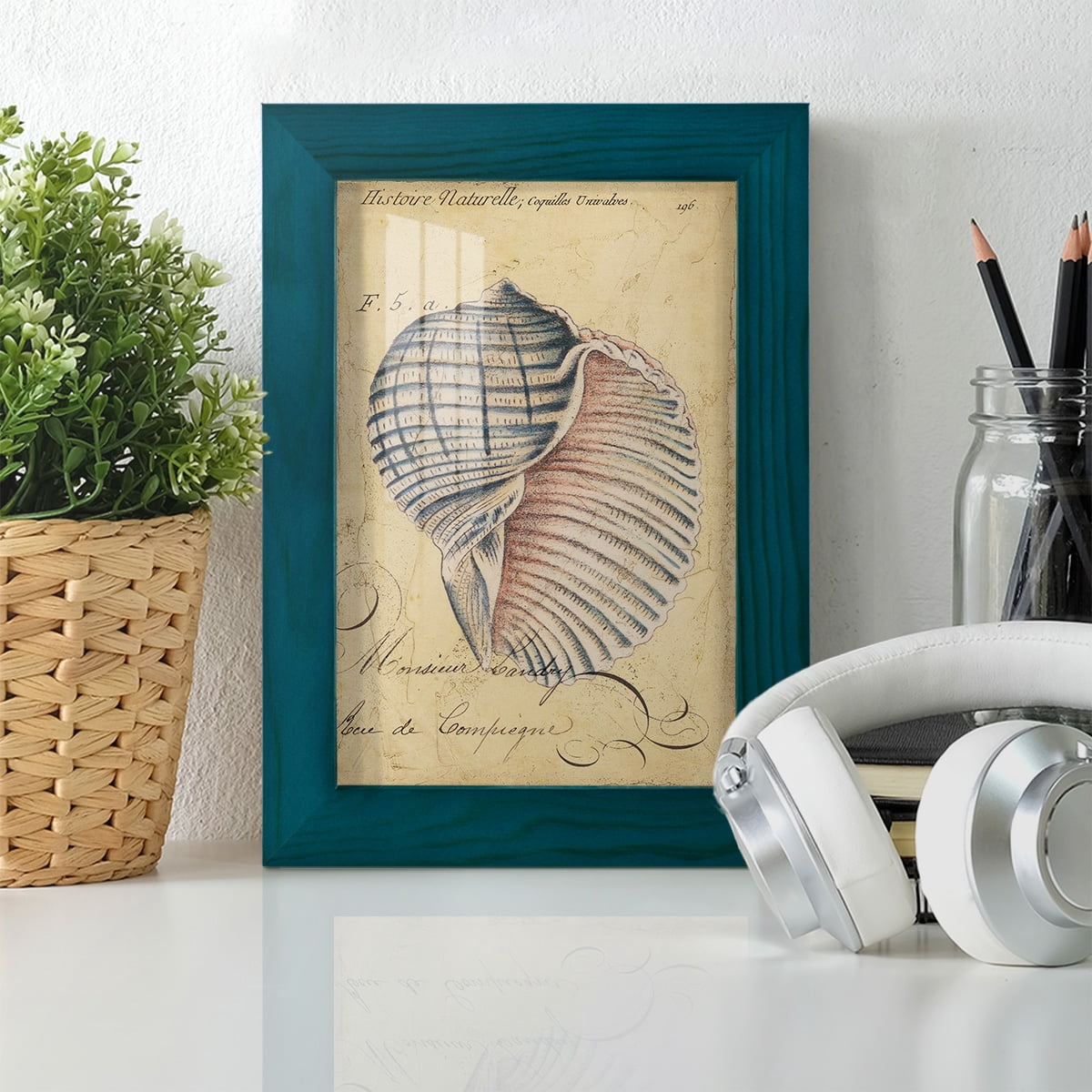 Seashell Ephemera V - Framed Print w/glass - Ocean Blue