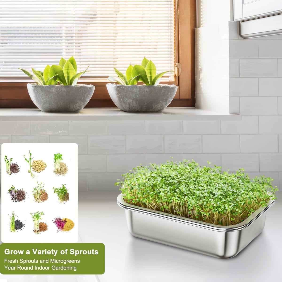 FANHAO 2-Pack Stainless Steel Plant Germination Trays, Indoors Plant Seedlings, Drainage Holes