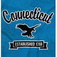 thumbnail image 2 of Connecticut Cute Bald Eagle Souvenir Men's Graphic T Shirt Tees Brisco Brands S, 2 of 6