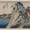 Hakone The View Of Ashinoko Lake, variant on Elephant Stock Shichiri Beach In Sagami Province Wall Art - Horizontal Multi Panel Canvas - Living Room Wall Decor - Nature Multi Panel - Blue And Beige Decor By Hokusai - 23" x 14"