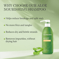 thumbnail image 3 of Aloderma Aloe Nourishing Shampoo Featuring Fresh, Organic Aloe Vera for Dry and Damaged Hair - Gently Cleanses and Moisturizes Dehydrated Hair for Soft, Healthy Hair - Alcohol, Paraben-Free - 16oz, 3 of 9