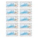 thumbnail image 1 of Soportes para dientes soportes para dientes soportes para dientes ganchos para tirantes soporte Roth para dientes 200 Uds soportes para dientes soportes para dientes de, 1 of 7