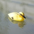 thumbnail image 2 of 6Pcs Pond Ducks Floating Baby Ducks Weatherproof Decorative Pond Garden Yellow 13x 8x 8cm, 2 of 8