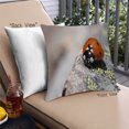 thumbnail image 1 of Ahgly Company Coussin Anti-Insectes pour Extérieur, 18 Pouces par 18 Pouces, 1 of 6