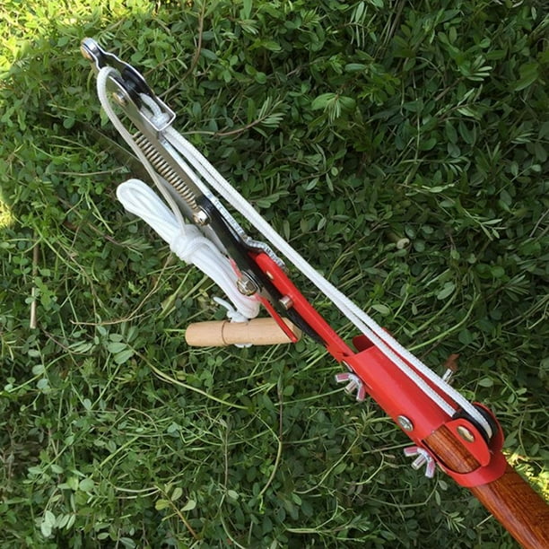 Tall 2024 tree cutter