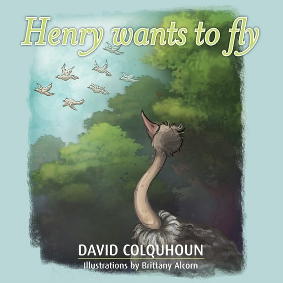 Henry wants to fly (Paperback)