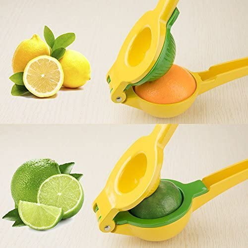 Best citrus press discount