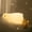 Duck, variant on MYKOMI Kawaii Decor Boys Girls Gifts - Cute Led Vegetable Night Light Sleep Lamp Bedside Lamp Nursery Night Light - 3 Level Dimmable USB Rechargeable - Age 3 to Adult (Vegetable)