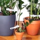 thumbnail image 5 of MH-200sthängbaraträdgårdsetiketterutomhus,etiketteriplast, 5 of 5