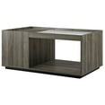 thumbnail image 1 of Talia 40" Table Basse de Rangement en Verre - Gris Ardoise, 1 of 5