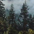 thumbnail image 5 of Orinice Trees Clouds Bench Bathroom Decor Set with Hooks, Colorful Luxurious Graphic Print Polyester Fabric Shower Curtain Set, Waterproof Bathroom Curtain for Home Decor 69x72, 5 of 7