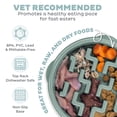 thumbnail image 3 of Outward Hound Medium Slow Feeder Bowl, Puzzle Maze for Fast Eaters, Small to Medium Dogs, Helps Prevent Bloat & Aid Digestion, Holds 2 Cups Wet or Dry Food, Non-Slip, Made Without BPA, Sage, 3 of 6