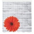 thumbnail image 2 of Ambesonne Rustic Shower Curtain, Calendula Floral Figure, 69"Wx70"L, Vermilion Pale Grey, 2 of 4