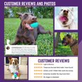thumbnail image 2 of CHOK Fetch Balls Extremely Durable Natural Rubber Toy 4” Balls  2 Pack, 2 of 7