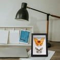 thumbnail image 1 of CHICHUMID 2Pcs Wooden Shadow Box with Glass Display Box for Insect Specimen Display Home Decoration 11.8X7.9X3.9in, 1 of 8