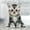 Adorable Kittens, variant on EcoEarth 12-Month Vertical Wall Calendar, Cute Kittens, 11" x 17", 2026 Calendar