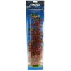 Marina Red Ludwigia Plant - 20" Tall