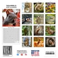 thumbnail image 3 of 2025 2026 Squirrels Calendar - Cute Wildlife Monthly Wall Calendar - 12 x 24 Open - Thick No-Bleed Paper - Giftable - Academic Teacher's Planner Calendar Organizing & Planning - Made in USA, 3 of 9