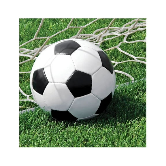 Party Creations Sports Fanatic Soccer Lunch Napkins, 18 Ct