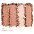 thumbnail image 3 of COVER GIRL COVERGIRL Eye Enhancers Eyeshadow 4 Kit, Country Woods, 4 colores, 3 of 8