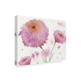 thumbnail image 2 of Trademark Fine Art 'Friendship Chrysanthemums' Canvas Art by Sheila Golden, 2 of 3
