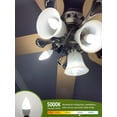thumbnail image 3 of shiyou-12-Pack LED Celing Fan Light Bulbs 60 Watt, Daylight 5000K, E12 Candelabra Bulb Base Socket, 120V, Type B, Non-Dimmable, 3 of 4
