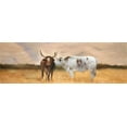 thumbnail image 2 of Atelier B Art Studio 24x11 White Modern Wood Framed Museum Art Print Titled - Nguni Bull, 2 of 4
