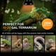 thumbnail image 4 of Lámpara de calor HealSmart Reptile Mini Ceramic 25W/50W Emitter 110, 4 of 6