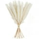 thumbnail image 4 of Hierba de Pampa Seca, Hierba de Pampa Natural Pampas Secas, Hierba de Pampa Natural, Cañas Secas, Flores Secas, Hierba de Pampa para Decoración del Hogar (10 Piezas), 4 of 8