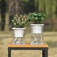 thumbnail image 4 of Transparent Self-Watering Plant Flower Pot PP Resin Planter Home Garden Decor, 4 of 5