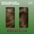 thumbnail image 2 of Clairol Natural Instincts Demi-Permanent Hair Color Crème 6a Light Cool Brown, 1 Application, 2 of 12