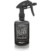 Dr. Killigan's Six Feet Under Non Toxic Insect Spray | Indoor Natural Pest Control & Safe Insecticide | Flea, Tick, Pantry & Clothing Moth, Ant, Cockroach Killer | Family Friendly, Pet Safe (24 oz)