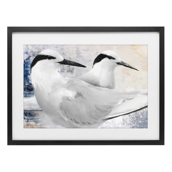 Stupell Industries Black Naped Tern Black Framed Print Under Glass, design by Porter Hastings