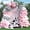Pink Cow, variant on 153Pcs Race Car Balloon Garland Arch Kit - Red and Black White Checkered Balloon Arch Kit 18 10 5 Inch Different Size Balloons for Racing Car Two Fast 2nd Theme Birthday Party Decorations